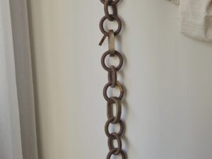 somos elos de afeto | entre nós